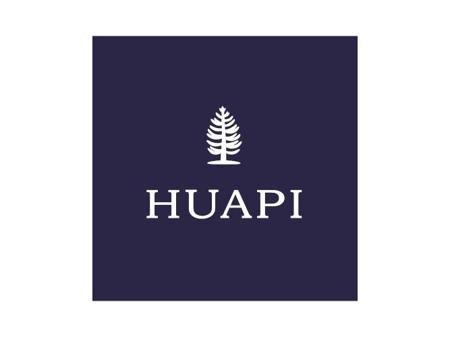 Huapi