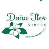 Descuentos en Vivero Doña Flor
